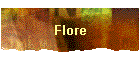 Flore