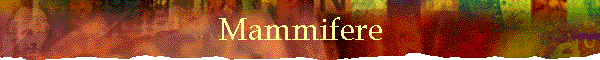 Mammifere
