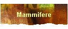 Mammifere