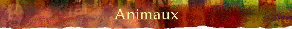 Animaux